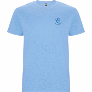 T-shirt Stafford bleu ciel col rond « Paliers 95 »